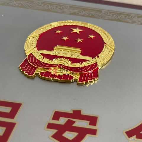 河南省政府食品安全先進(jìn)集體獎牌定制